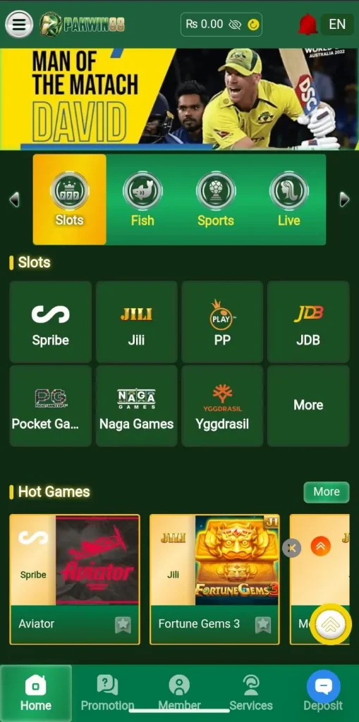 PAKWIN88 Game