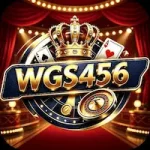 WGS456 Game