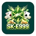 SKE999 Game