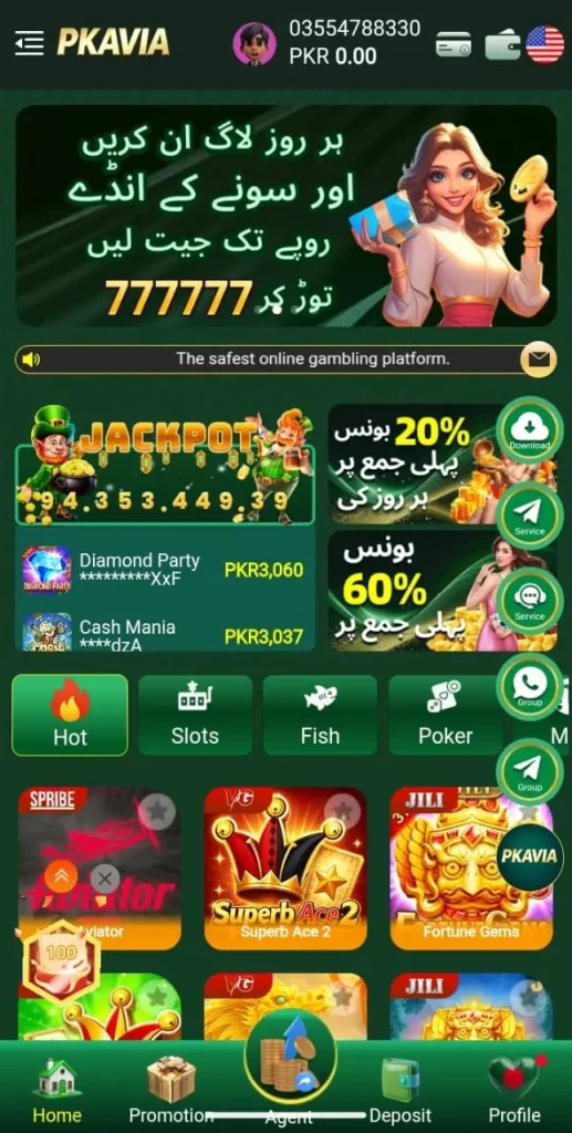PKavia Game